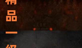 国产精品在,匠心独运，引领潮流风尚